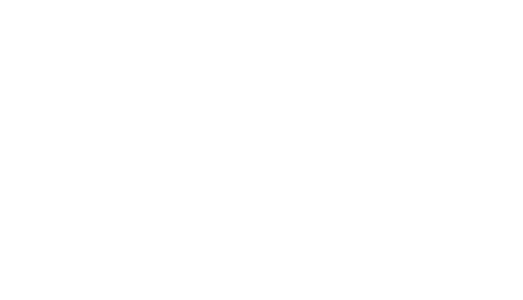 Flash Photography Logo